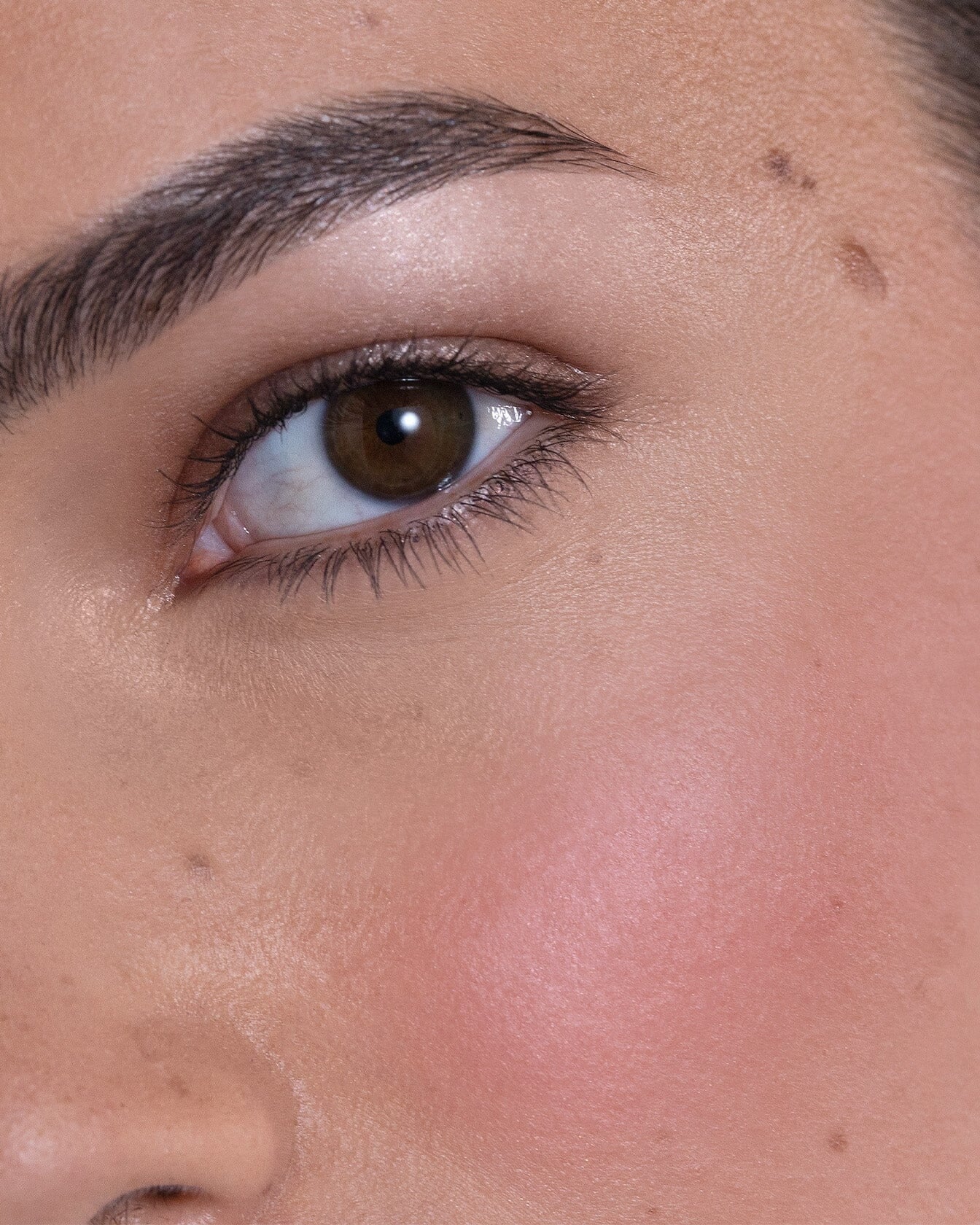 Palette de maquillage Accord Profond Rose Brun et Rose Saint-Germain de La Bouche Rouge Paris, avec nuances naturelles et élégantes.